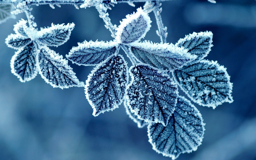 How travelers beat the winter blues