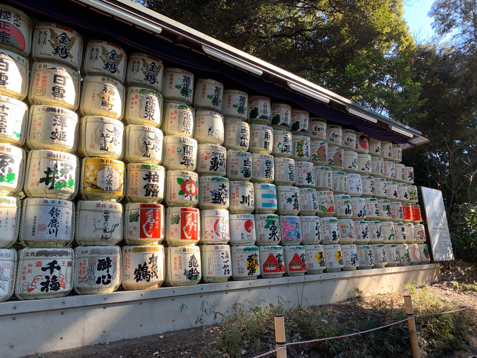 10-Day Japan Itinerary: Osaka, Kyoto, Hakone & Tokyo