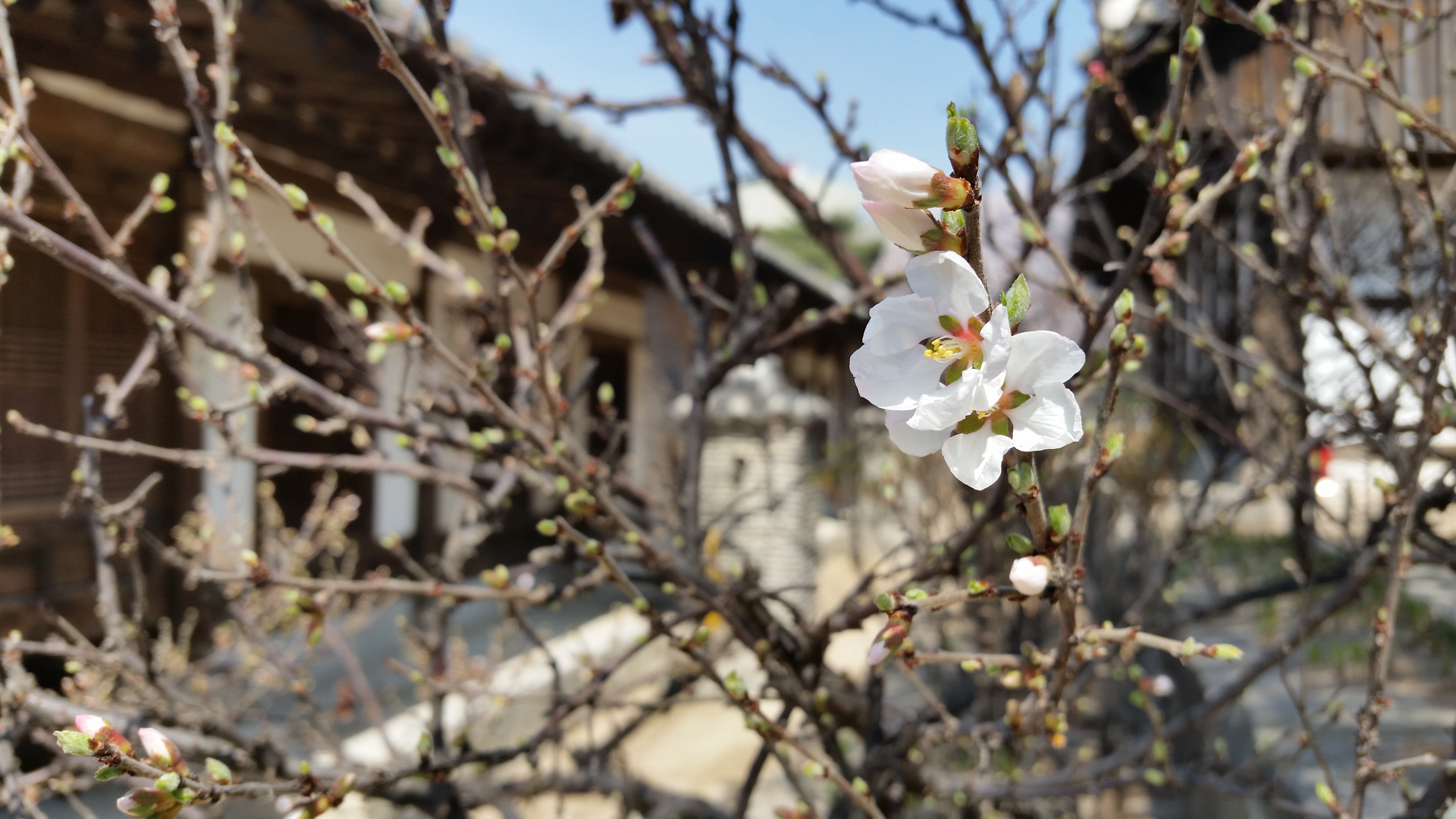 Free Download: Trip Planning Template & Seoul, South Korea Itinerary